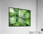 V679 Acrylic Print