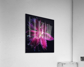 V683 Acrylic Print