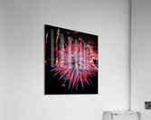 V684 Acrylic Print