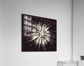 V685 Acrylic Print