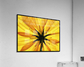 V687 Acrylic Print