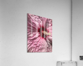 V688 Acrylic Print