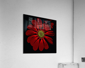 V690 Acrylic Print