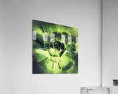 V692 Acrylic Print
