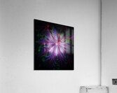 V696 Acrylic Print