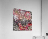 V699 Acrylic Print
