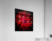 V700 Acrylic Print