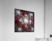V702 Acrylic Print