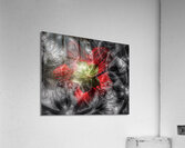 V703 Acrylic Print