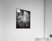 V706 Acrylic Print
