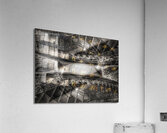 V707 Acrylic Print