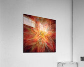 V713 Acrylic Print