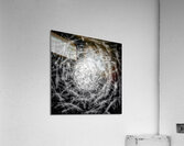 V717 Acrylic Print