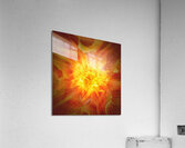 V718 Acrylic Print