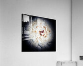 V719 Acrylic Print