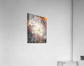 V723 Acrylic Print