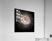 V725 Acrylic Print