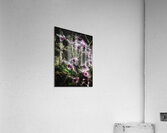 V728 Acrylic Print
