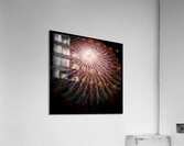 V729 Acrylic Print