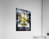 V731 Acrylic Print