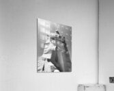 V735 Acrylic Print