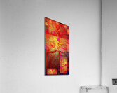 V737 Acrylic Print