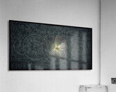 V738 Acrylic Print