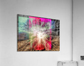 V739 Acrylic Print