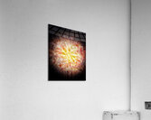 V742 Acrylic Print