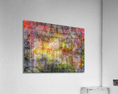 V743 Acrylic Print