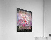 V745 Acrylic Print