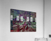 V746 Acrylic Print