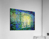 V749 Acrylic Print