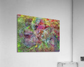 V750 Acrylic Print