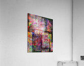 V752 Acrylic Print