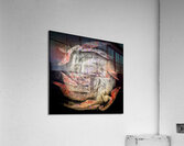 V753 Acrylic Print
