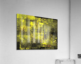 V755 Acrylic Print