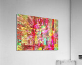 V759 Acrylic Print