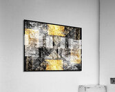 V764 Acrylic Print