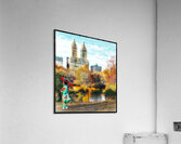 V771 Acrylic Print