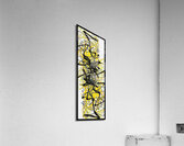 V776 Acrylic Print