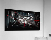 V778 Acrylic Print