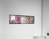 V779 Acrylic Print