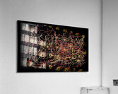 V781 Acrylic Print