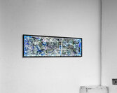 V790 Acrylic Print