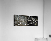 V791 Acrylic Print