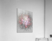 V795 Acrylic Print