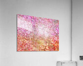 V799 Acrylic Print