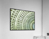 V801 Acrylic Print