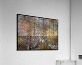 V803 Acrylic Print
